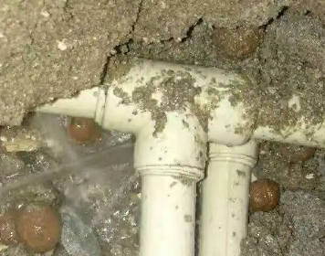 长寿测漏水多少钱