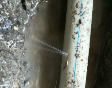 长寿测漏水哪家好