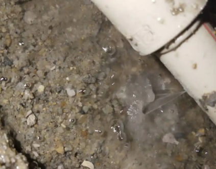 长寿测漏水电话号码