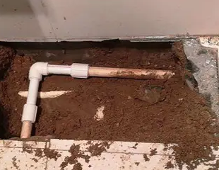 长寿测漏水哪家好