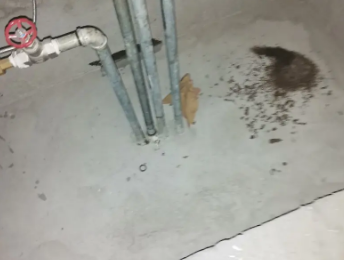 长寿卫生间测漏水价格明细