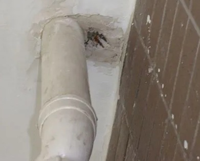 长寿漏水检测哪家好