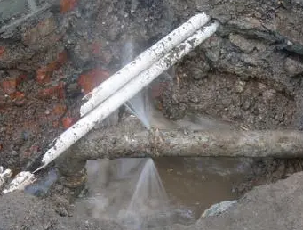 长寿测漏水多少钱